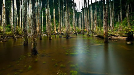 你可能不知道的台湾摄影秘景