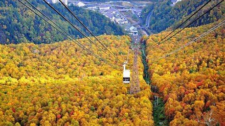 【赏枫攻略】日本“第一红”就在北海道层云峡