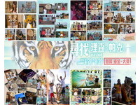 活生生七只老虎出现屏东　观传处：捉五只就抽五星住宿
