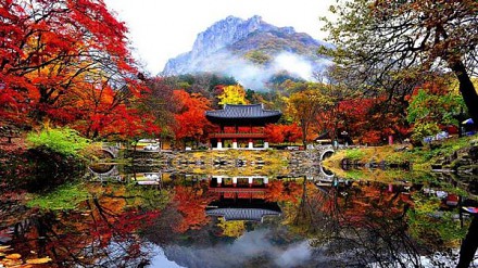 【摄影团推介】红叶美馔顶级享受！釜山首尔、台中摄影团够精彩