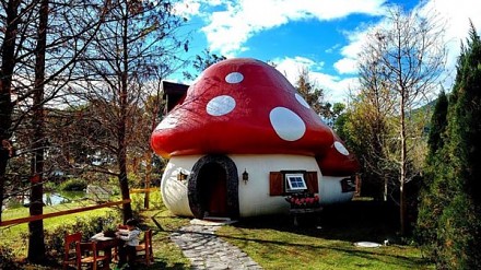 入住白雪公主的小屋！台湾可爱小蘑菇民宿