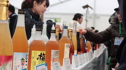 【另类推介】品尝美酒！日本全国梅酒祭3月开锣！