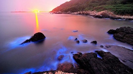 蓝眼泪爆发季限定马祖南竿私影地点公开