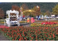 花莲市国福花海热情登场　福字迷宫走一趟全年都幸福