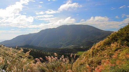 【秋色绝景】不只大东山！台北赏芒一样得！