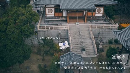 人气直迫熊本熊！日本奈良县吉祥物带你睇城中靓景