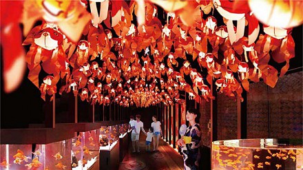 东京史上最大规模金鱼展览开催