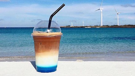 【另类打卡热点】去韩国济州岛一定要识呢间cafe!