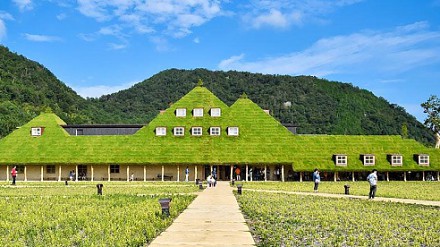 【FeverTravel】日本滋贺新发现！草皮甜品屋超诱人！