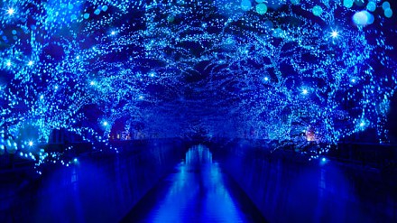 等候两年！东京“青の洞窟”再度回归，浪漫蓝洞隧道成热点！