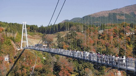 【红叶特辑】日本九州秋枫情报！