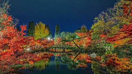 网友好介绍！2015京都红叶银杏地图！