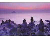 庙口不是唯一　到基隆踏浪摘海藻、码头赏鹰