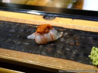 台中无菜单精致日式料理　超甜牡丹虾马粪海胆