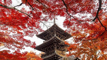 Jetstar新优惠！东京、大阪$288
