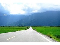 踏访东台湾最美伯朗大道　相拥40年夫妻树