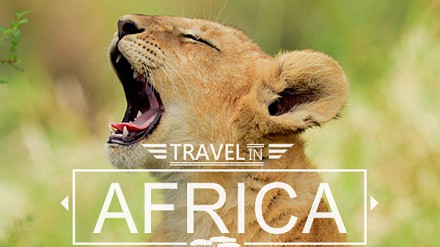 【反应热烈加推第二晨FeverTravel“壮丽非洲．旅游摄影讲座”现正接受报名