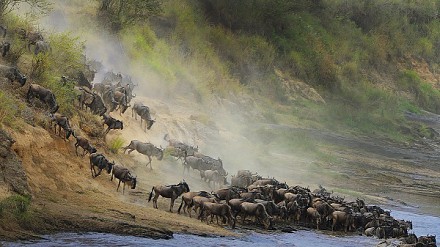 【旅游Promotion】另类体验无价用镜头捕捉非洲震撼奇观