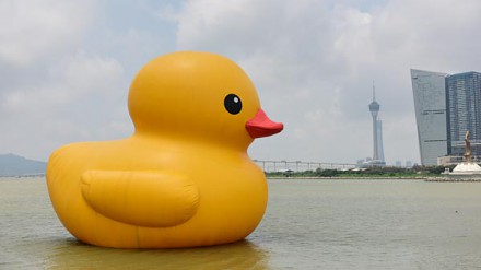黄色小鸭游到澳门！而家有得睇啦！