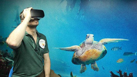 澳洲旅游局新搞作－VR实景海洋体验香港都有得睇！