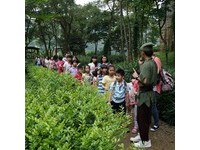 孩子夏令营、爸妈渡假　东森山庄亲子营行程下杀2.6折