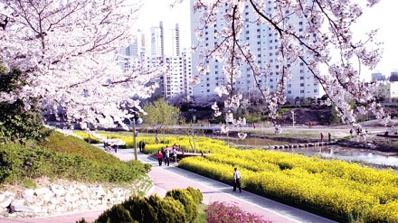 【DCFever读者优先】樱花旅摄技巧分享讲座