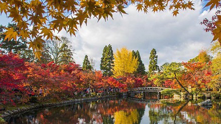11月起出发ANA全日空来回大阪/名古屋$2,900、东京$3,100