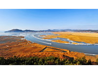 韩国必去！世界五大沿岸湿地“顺天湾”　MV最爱取景点