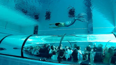 【真系潜到水】台中潜水旅馆！超正！