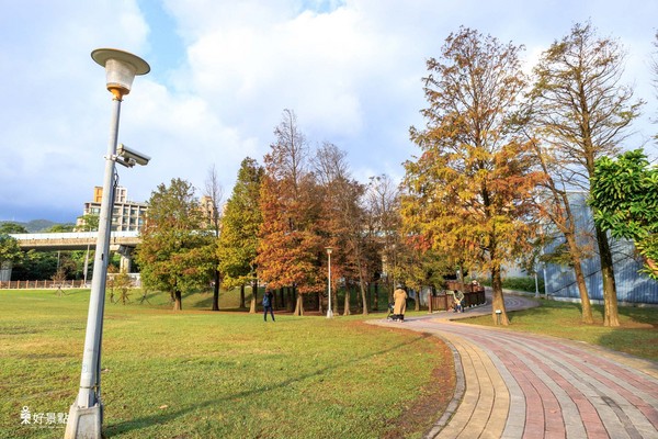 ▲台北市大湖公园落羽松。(图/好景点 foncc.com提供)
