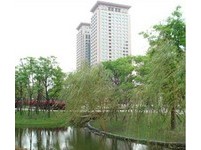 “人气公园大赏”开跑　票选最美都市休闲空间