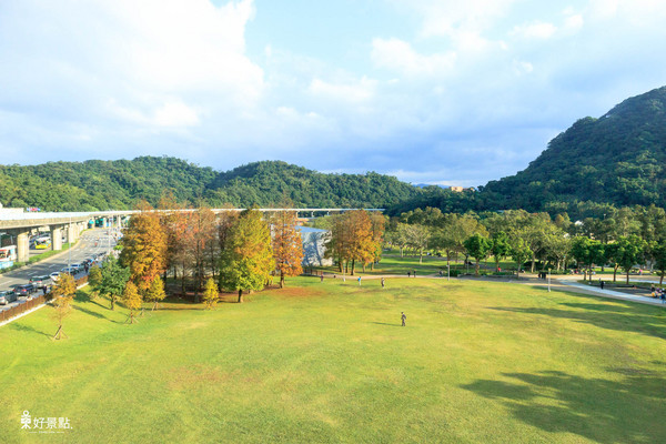 ▲台北市大湖公园落羽松。(图/好景点 foncc.com提供)