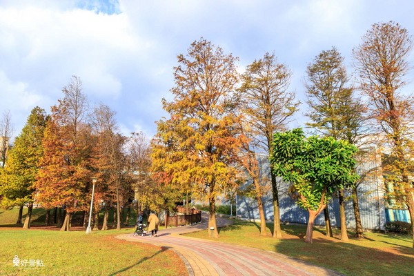 ▲台北市大湖公园落羽松。(图/好景点 foncc.com提供)
