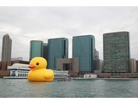 黄色小鸭情归何处？基隆粉丝团万人按赞　高雄台南力争