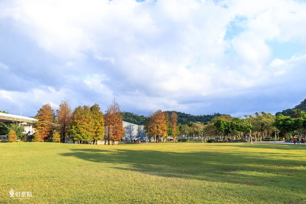 ▲台北市大湖公园落羽松。(图/好景点 foncc.com提供)