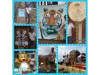 发现“理查帕克”！屏东县内景点出现“七只老虎”
