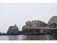 变色龙追松鼠！马祖“海上看东引”处处惊叹