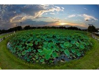 立夏就是要出门散步！新北市免费步行活动开始报名