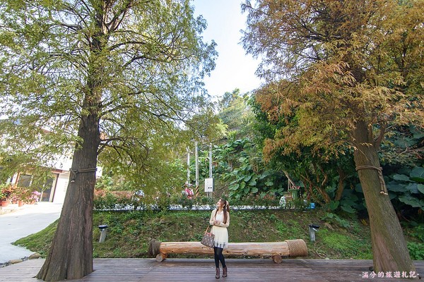 ▲新竹关西大乐之野景观餐厅赏落羽松。（图／满分的旅游札记提供）