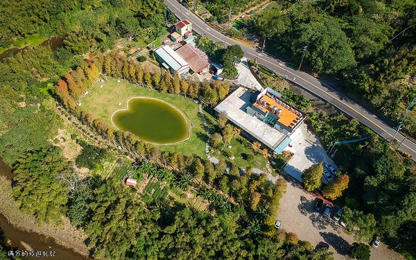 ▲新竹关西大乐之野景观餐厅赏落羽松。（图／满分的旅游札记提供）