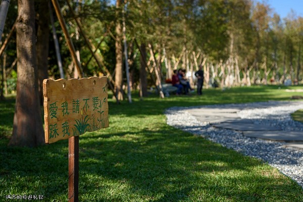 ▲新竹关西大乐之野景观餐厅赏落羽松。（图／满分的旅游札记提供）