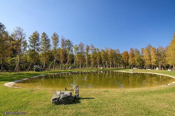 ▲新竹关西大乐之野景观餐厅赏落羽松。（图／满分的旅游札记提供）
