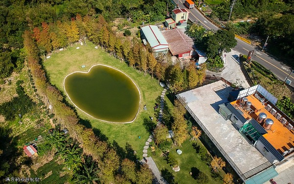 ▲新竹关西大乐之野景观餐厅赏落羽松。（图／满分的旅游札记提供）