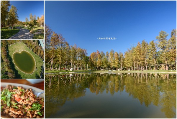 ▲新竹关西大乐之野景观餐厅赏落羽松。（图／满分的旅游札记提供）