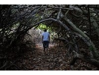 垦丁最佳把妹“秘境沙滩”　穿过丛林隧道才到得了