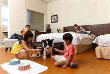 抢过年财 春节入住东森山林前200名送首尔双人机票