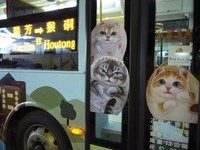 全台首座猫桥、猫公车　下车铃声像“猫的大合唱”