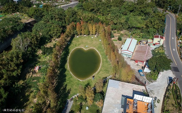 ▲新竹关西大乐之野景观餐厅赏落羽松。（图／满分的旅游札记提供）