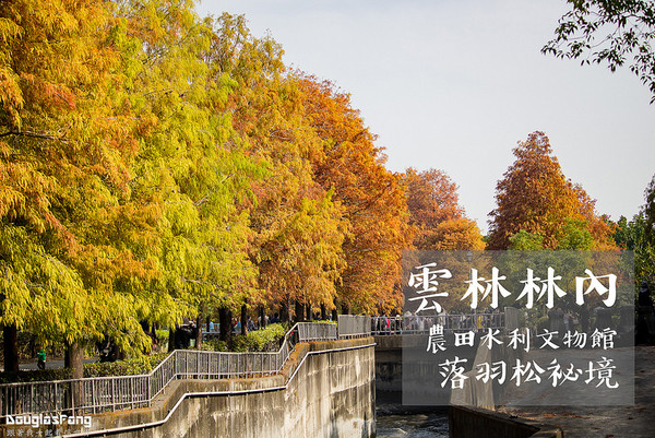 ▲云林 农田水利文物馆-落羽松。（图／道格拉斯.方提供）
