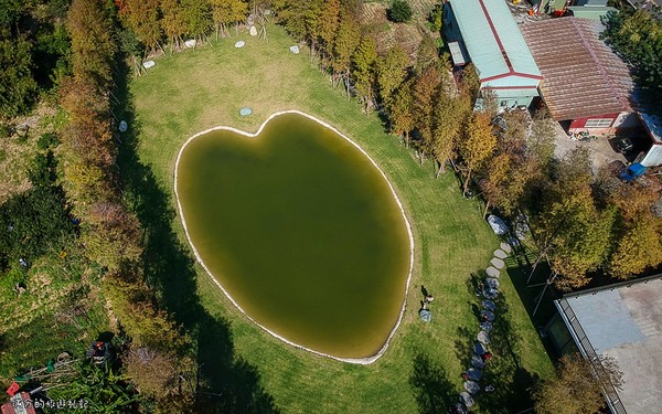 ▲新竹关西大乐之野景观餐厅赏落羽松。（图／满分的旅游札记提供）